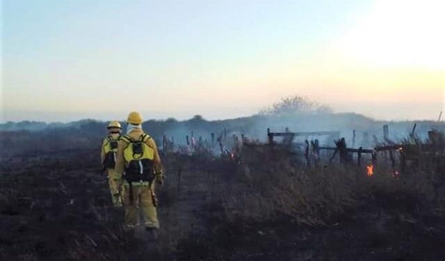 Bomberos controlan incendio de pastizales