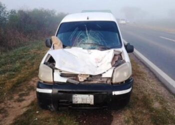 Camioneta colisiona equino sobre Ruta 89