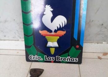 Tres detenidos en desorden