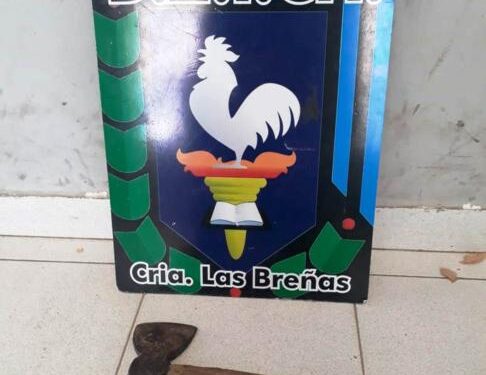 Tres detenidos en desorden