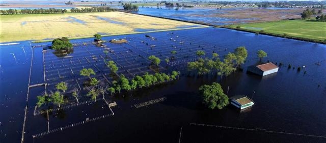 Jorge Cocco, “se colapsará el sistema hídrico”