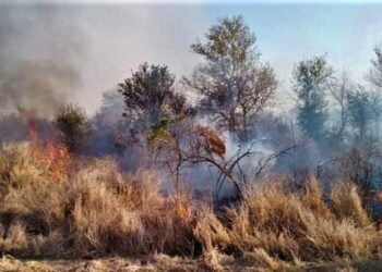 Bomberos Voluntarios sofocan incendio de pastizales rurales