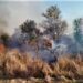 Bomberos Voluntarios sofocan incendio de pastizales rurales
