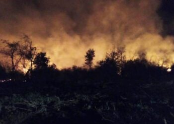 Incesante labor de Bomberos Voluntarios