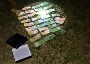 Sollberg: “la idea era tener un papel digno”