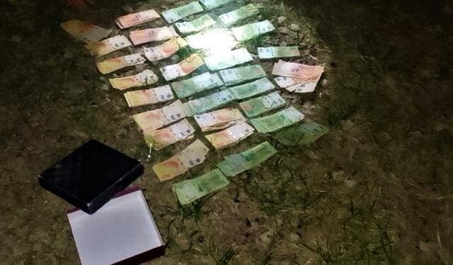 Sollberg: “la idea era tener un papel digno”