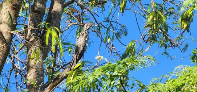 El Kakuy visita la EEP N° 374