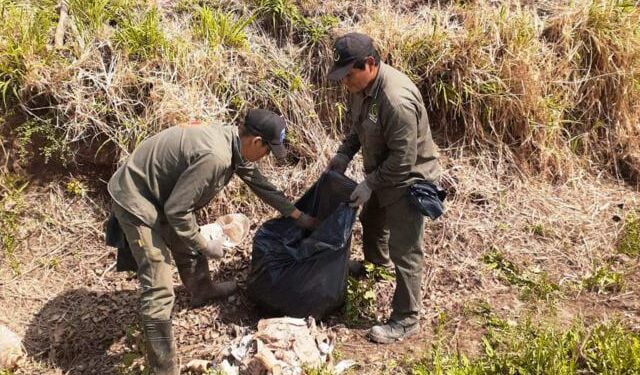 “La gente es muy irresponsable y hace cosas indebidas”