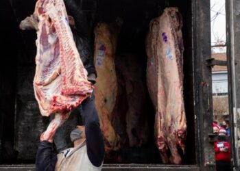 “Resolución 2/21” sobre troceo de carne, no está bien vista por empresarios