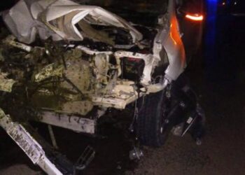 Camioneta colisiona equino en Ruta 6