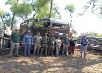 Infracción al Régimen Forestal: allanan campo en Los Arenales