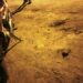 Motociclista colisiona cable a media altura