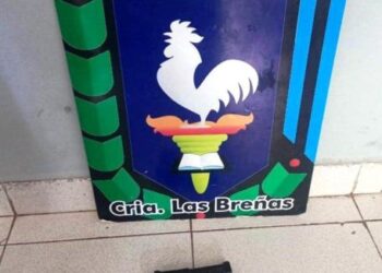 Andaba “armado” en la vía pública