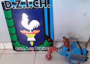 Nuevo robo esclarecido por Comisaría Las Breñas