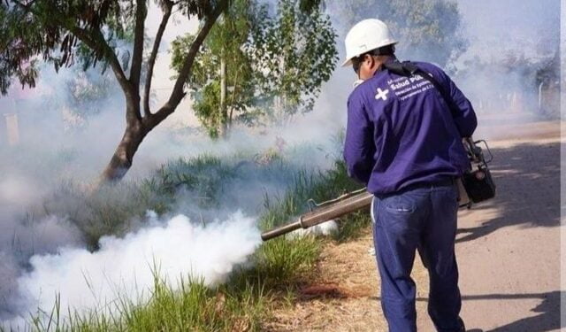 Dos casos de Chikungunya en Chaco