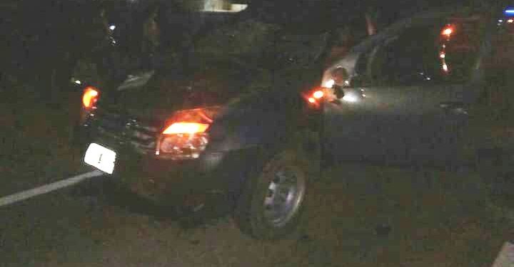 Equino en ruta causa incidente vial