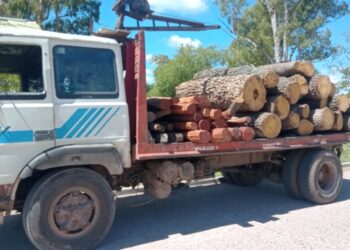 Policía secuestra camión con carga y sin guía