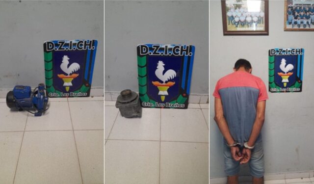 Violencia de Género y recuperación de elementos