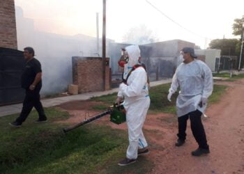 Nuevos casos de Dengue y trabajos