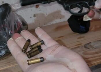 Secuestro de Cocaína, plantas de Cannabis, armas y motos