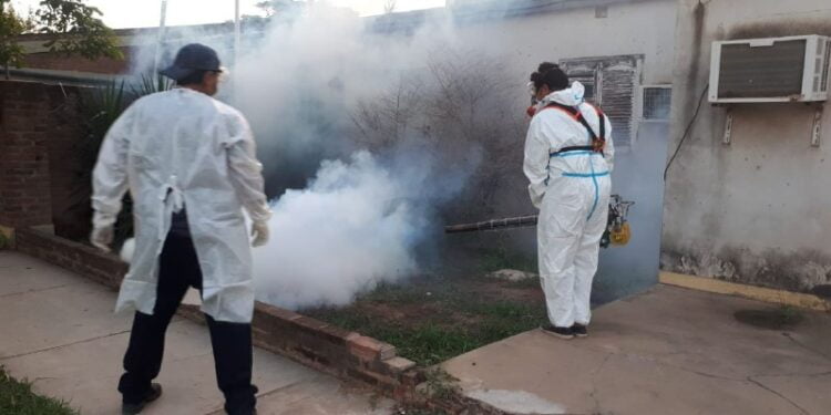 Primeros casos de Dengue en Las Breñas