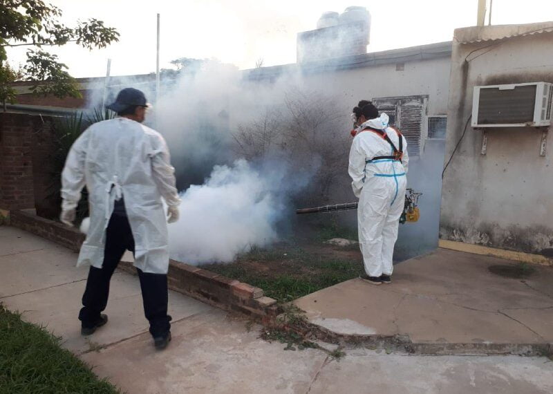 Primeros casos de Dengue en Las Breñas