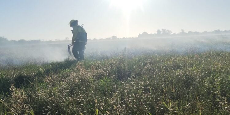 Incendio de pastizales sofocado por Bomberos