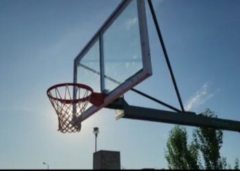 AMBALAB: Novedades institucionales y Bingo