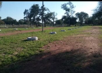 Este fin de semana habrá competencia de karting