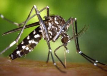 Comisaría Las Breñas: 12 reos con Dengue