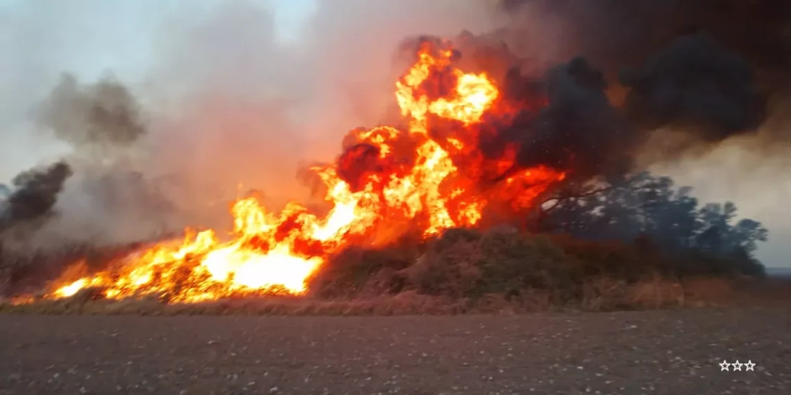 Incendios de pastizales, inconsciencia pura