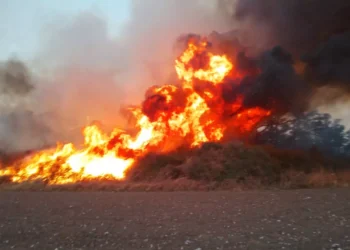 Incendios de pastizales, inconsciencia pura