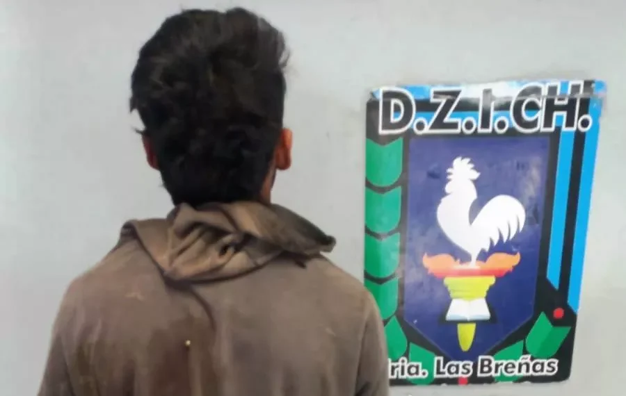 Detenido por ingresar a propiedad