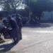 Insólito: Zorra colisionó con moto…. Y se fugó del lugar!!