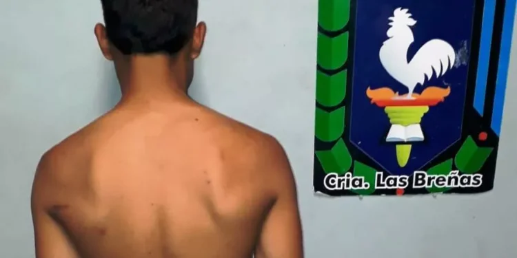 Robó en tienda y fue aprehendido