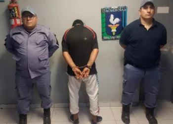 Robó a sus vecinos, ahora, detenido
