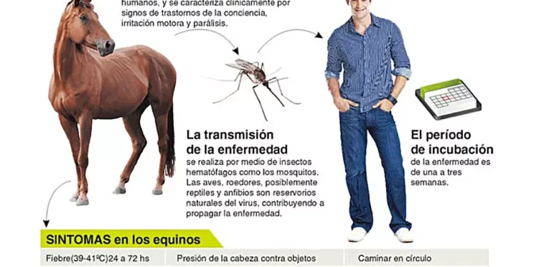 Nueva Alerta Sanitaria por brotes de Encefalomielitis Equina (EE)