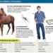 Nueva Alerta Sanitaria por brotes de Encefalomielitis Equina (EE)