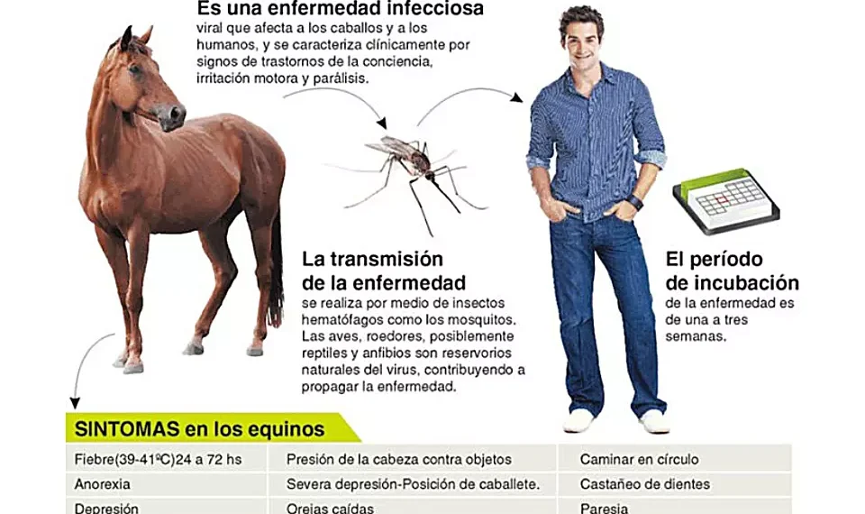 Nueva Alerta Sanitaria por brotes de Encefalomielitis Equina (EE)