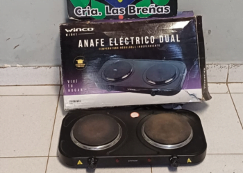 Audaz delincuente aprehendido