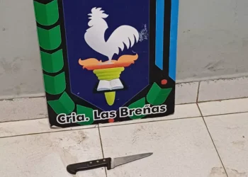 Salió en libertad e intentó robar a cuchillazos a un policía