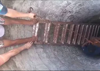 Policías rescatan una perra de un pozo