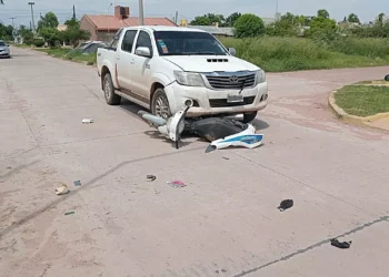 Fallece motociclista partícipe de siniestro vial