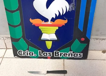 Ingresó a propiedad, pero fue atrapado por el dueño