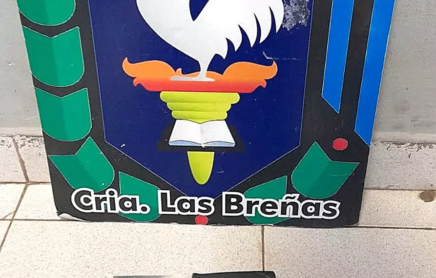 Ingresó a propiedad, pero fue atrapado por el dueño