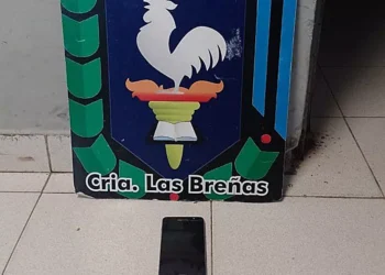 Policia breñense esclarece robos