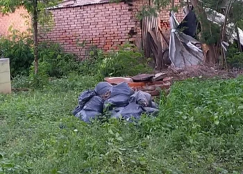 Vecinos claman atención por casos de Dengue