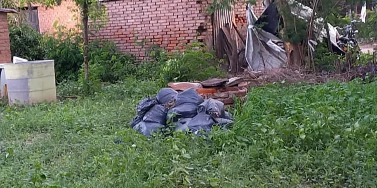 Vecinos claman atención por casos de Dengue