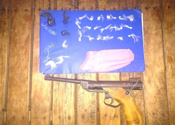 Allanan domicilio y secuestran arma y estupefacientes