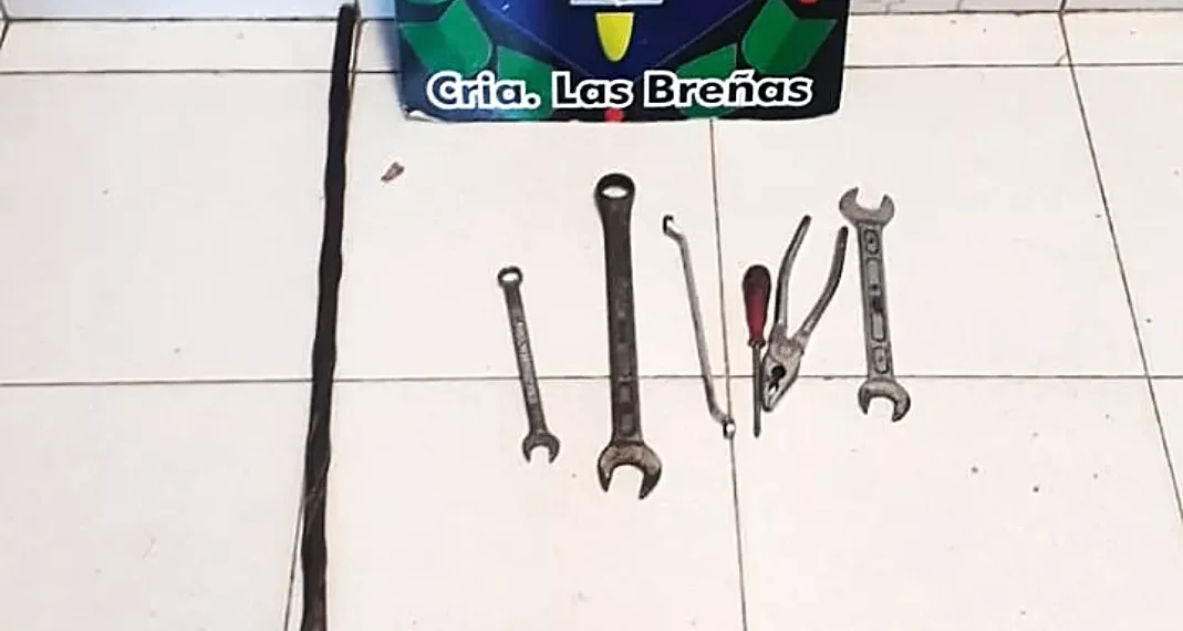 Amenazó, robó, pero fue aprehendido